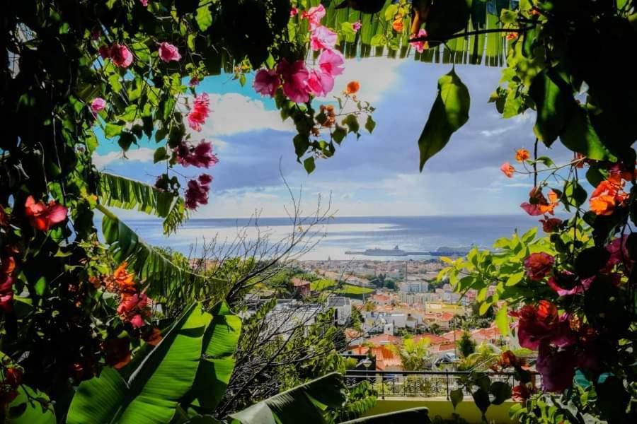 Вилла Granny'S House View Фуншал Экстерьер фото